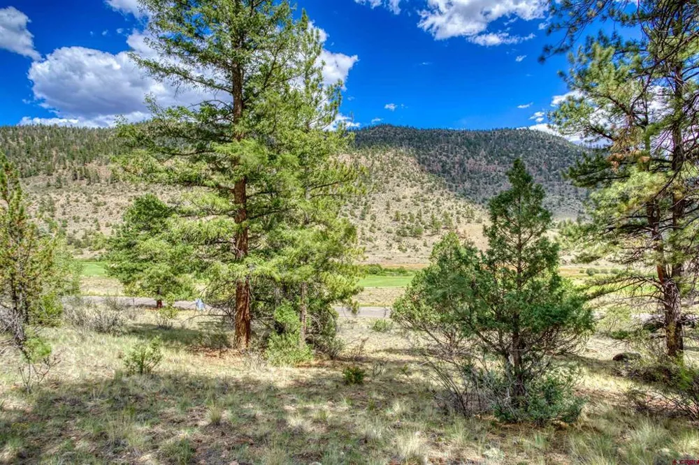 1139 Rio Grande Club Trail South Fork, CO 81154