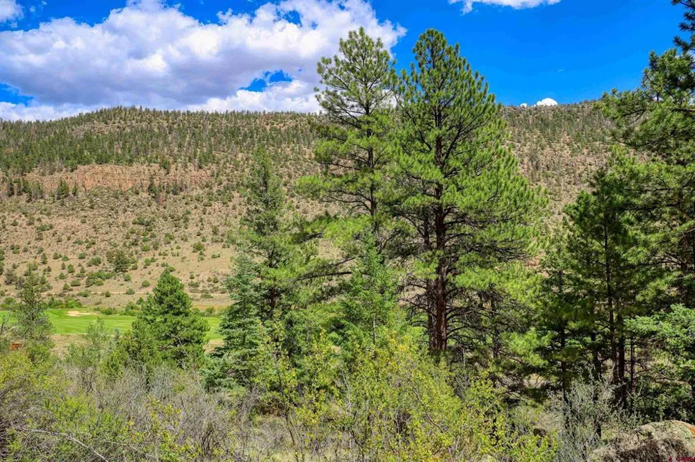 1139 Rio Grande Club Trail South Fork, CO 81154