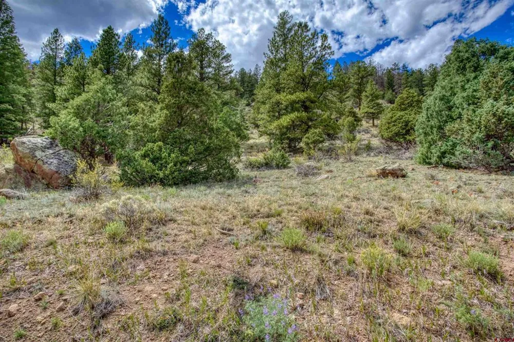 1139 Rio Grande Club Trail South Fork, CO 81154