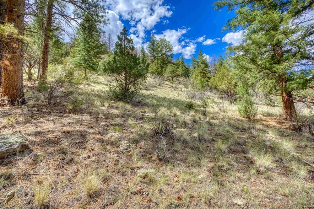 1139 Rio Grande Club Trail South Fork, CO 81154