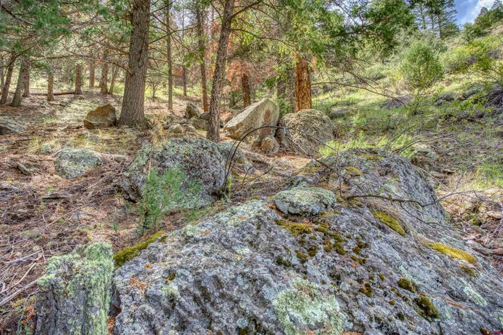 1139 Rio Grande Club Trail South Fork, CO 81154