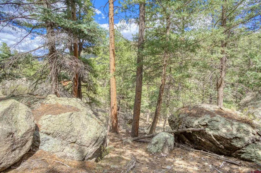 1139 Rio Grande Club Trail South Fork, CO 81154