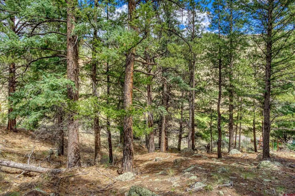 1139 Rio Grande Club Trail South Fork, CO 81154