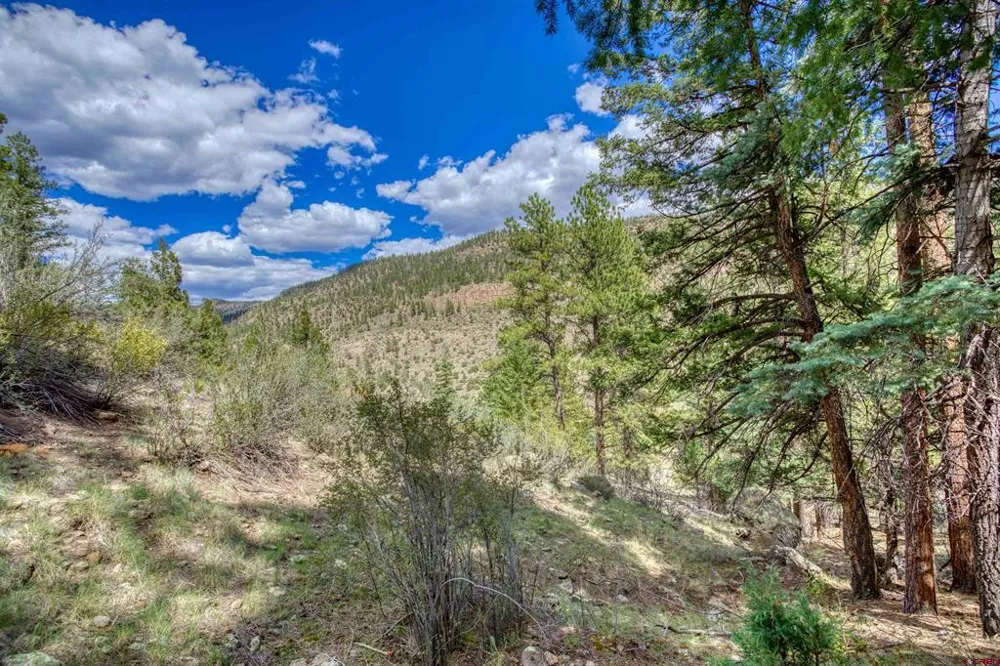 1139 Rio Grande Club Trail South Fork, CO 81154