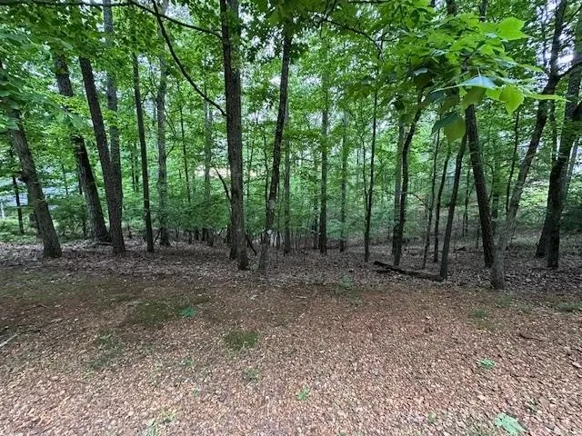 0 ANDERSON HOLLOW RD Savannah, TN 38372