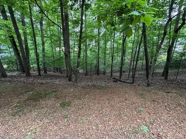 0 ANDERSON HOLLOW RD Savannah, TN 38372