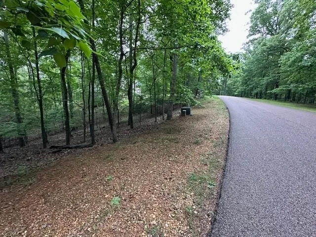 0 ANDERSON HOLLOW RD Savannah, TN 38372