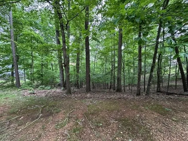 0 ANDERSON HOLLOW RD Savannah, TN 38372