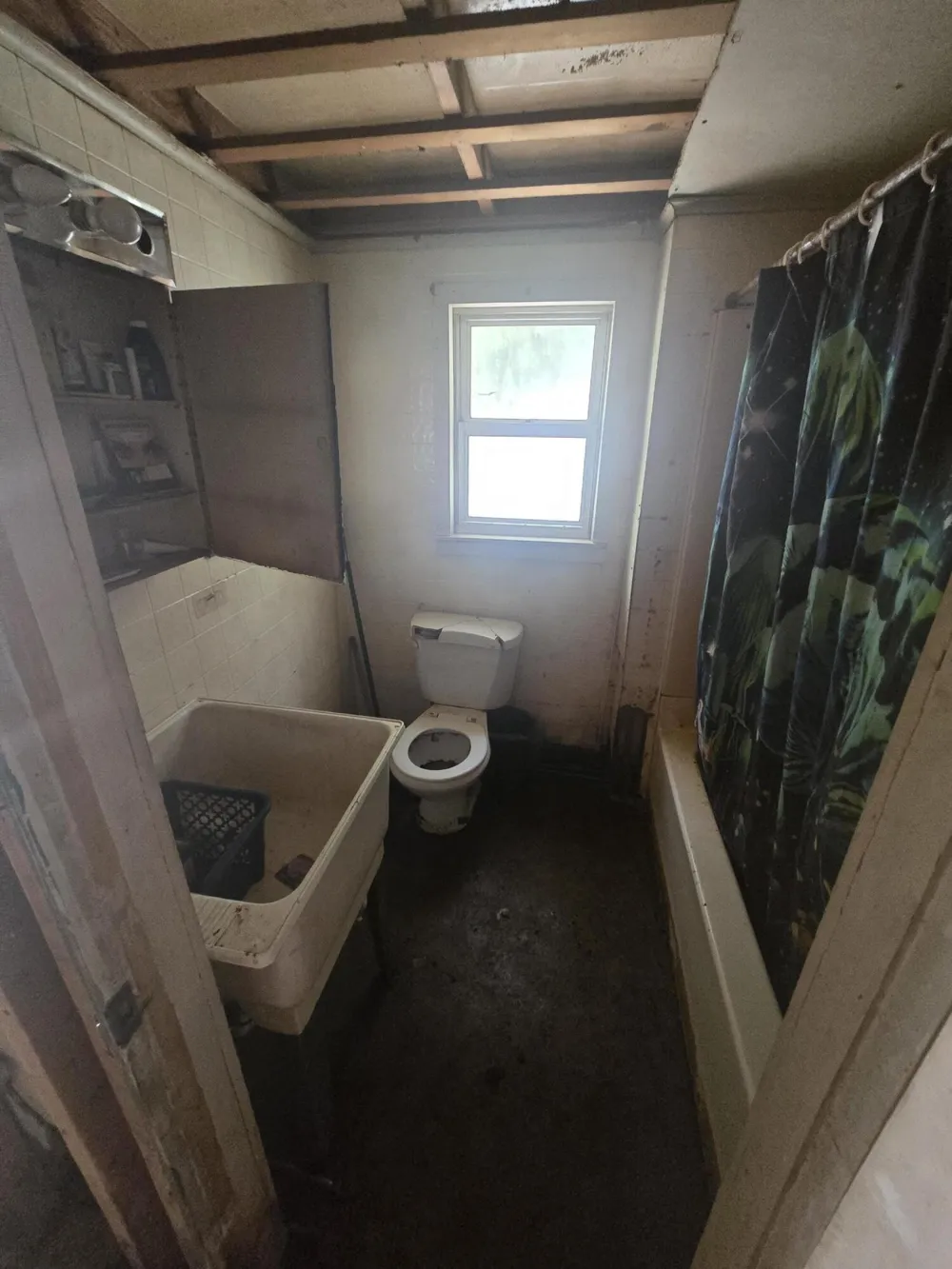 317 Oak Street Gladwin, MI 48624