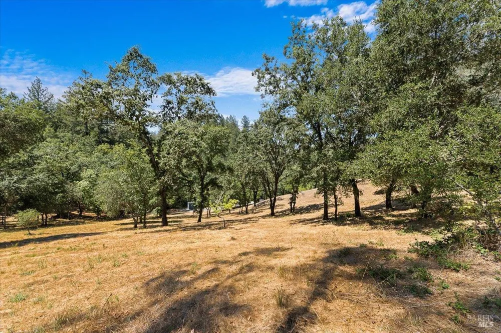 7250 Hwy 116 Highway Forestville, CA 95436