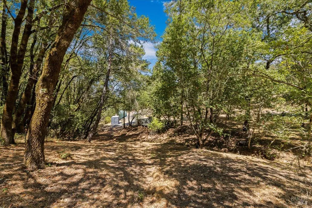 7250 Hwy 116 Highway Forestville, CA 95436