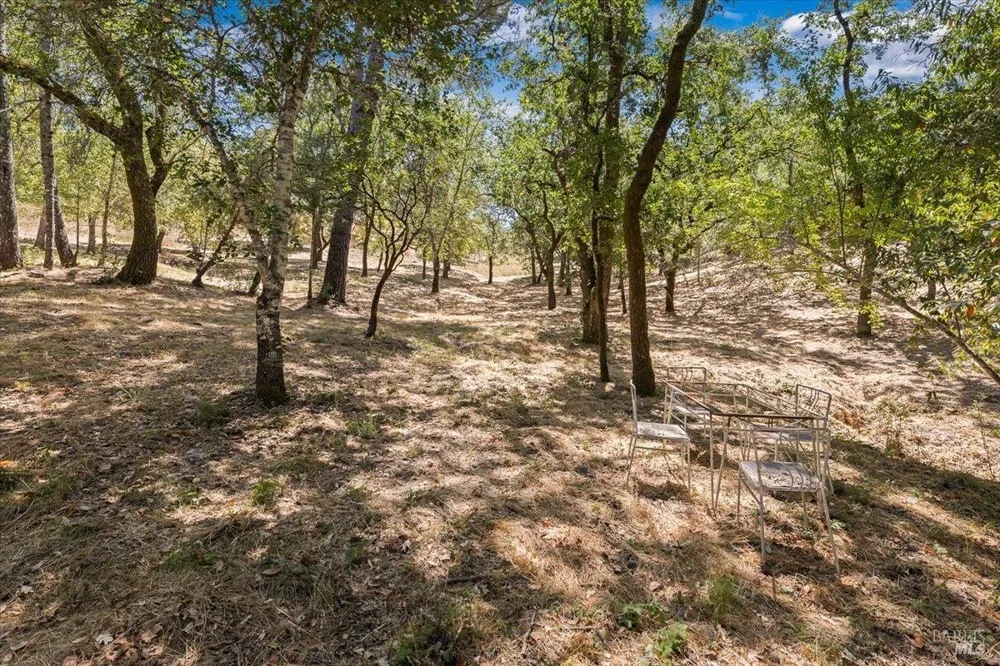 7250 Hwy 116 Highway Forestville, CA 95436