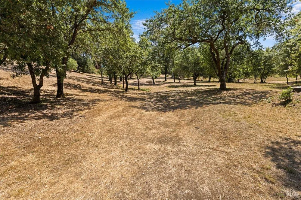 7250 Hwy 116 Highway Forestville, CA 95436