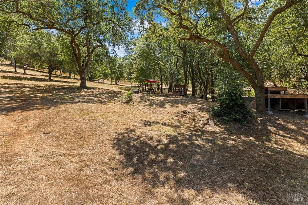 7250 Hwy 116 Highway Forestville, CA 95436