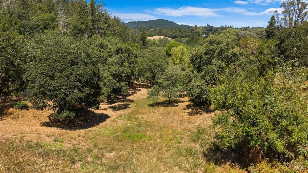 7250 Hwy 116 Highway Forestville, CA 95436