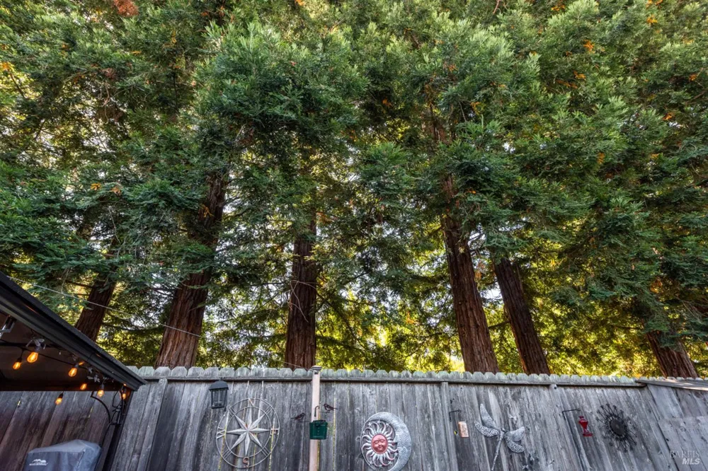 15 Vindel Lane Napa, CA 94558