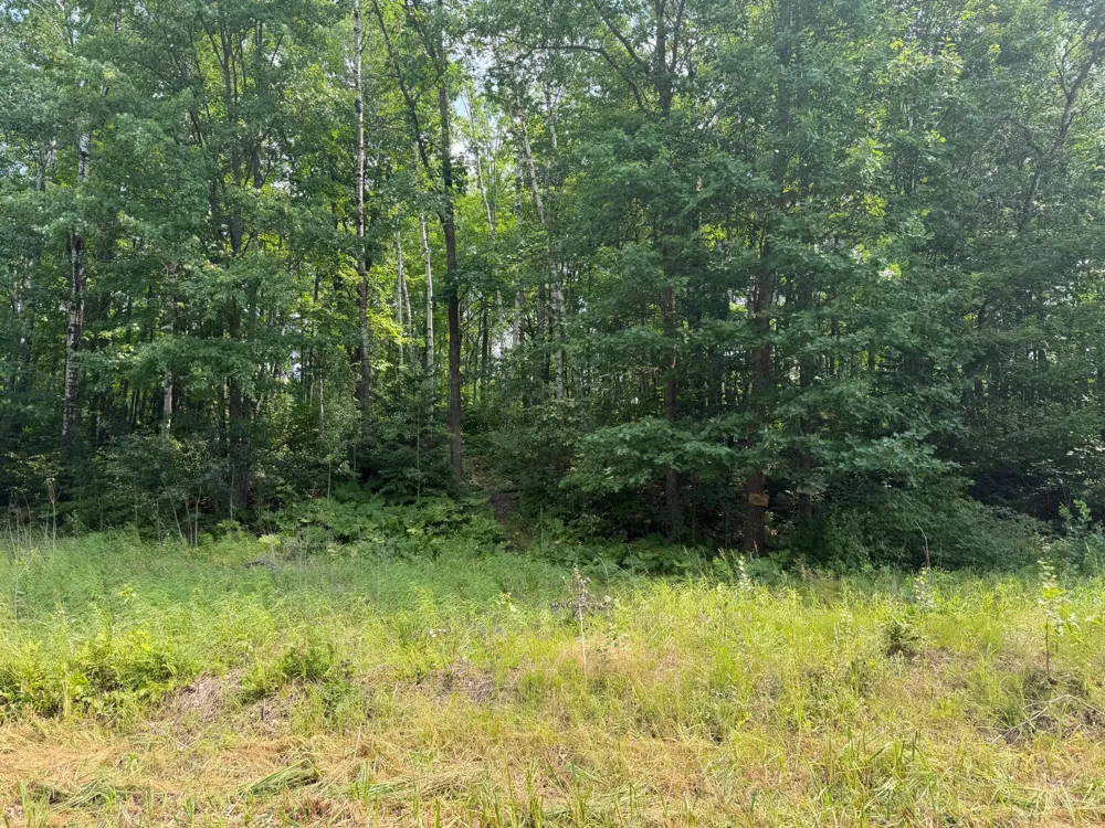 82079 Schoumaker Road Willow River, MN 55795