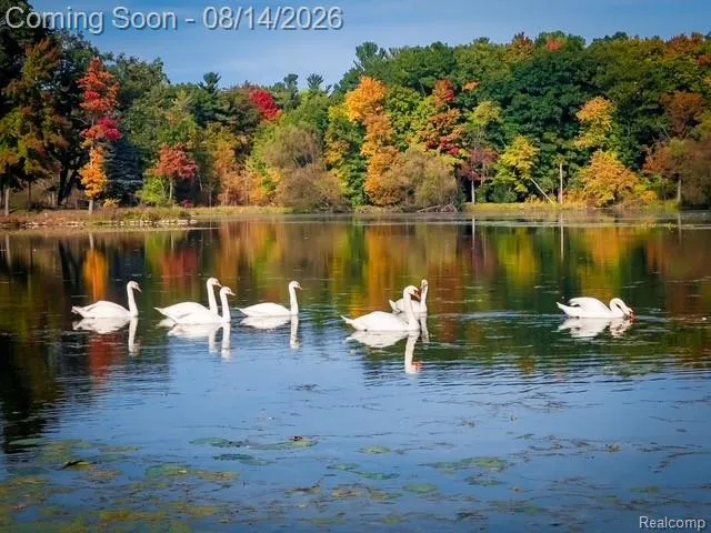 301 Willow Lane Orion Charter Township, MI 48362