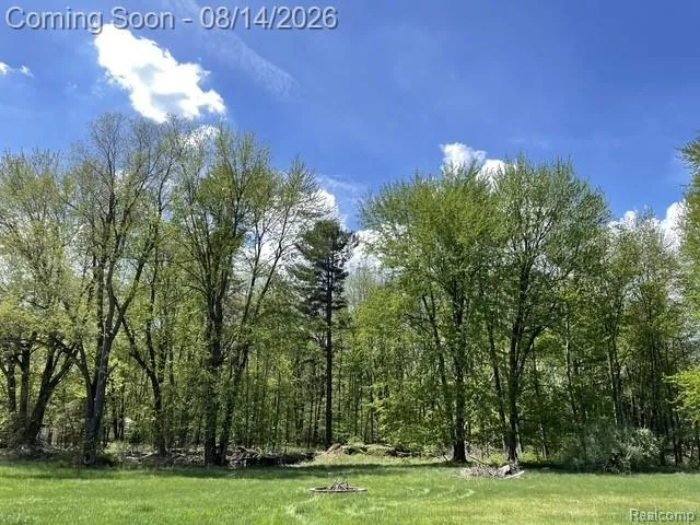 301 Willow Lane Orion Charter Township, MI 48362
