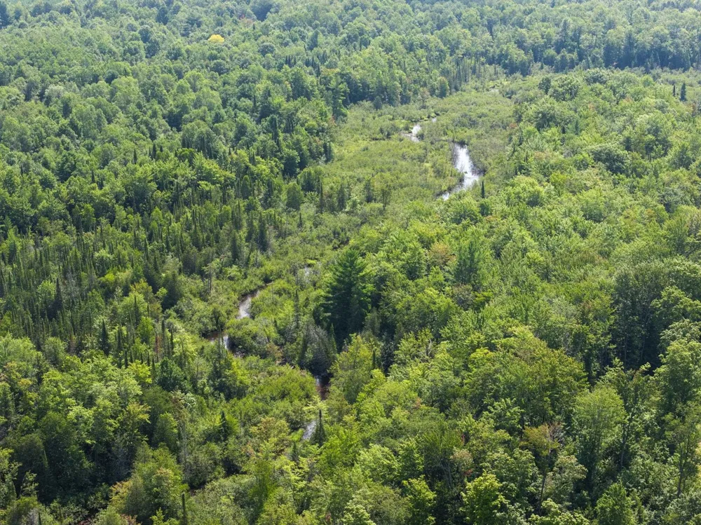 Kleehammer Club Drive Excelsior Township, MI 49646