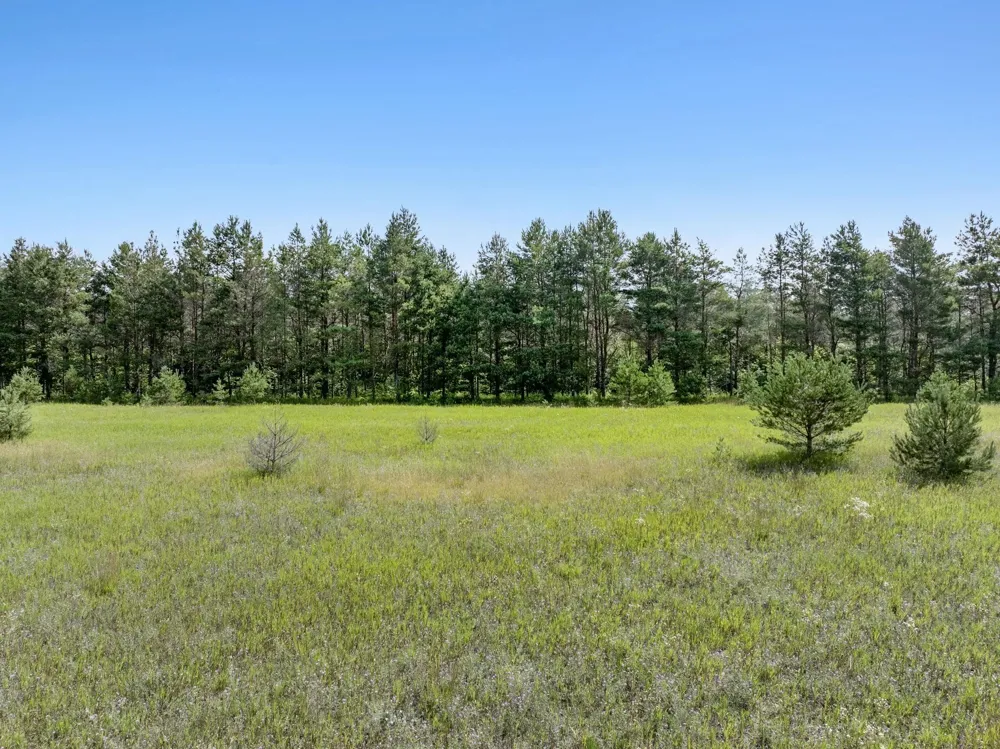 Kleehammer Club Drive Excelsior Township, MI 49646