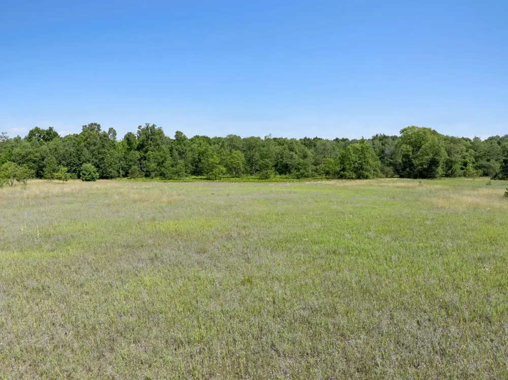 Kleehammer Club Drive Excelsior Township, MI 49646