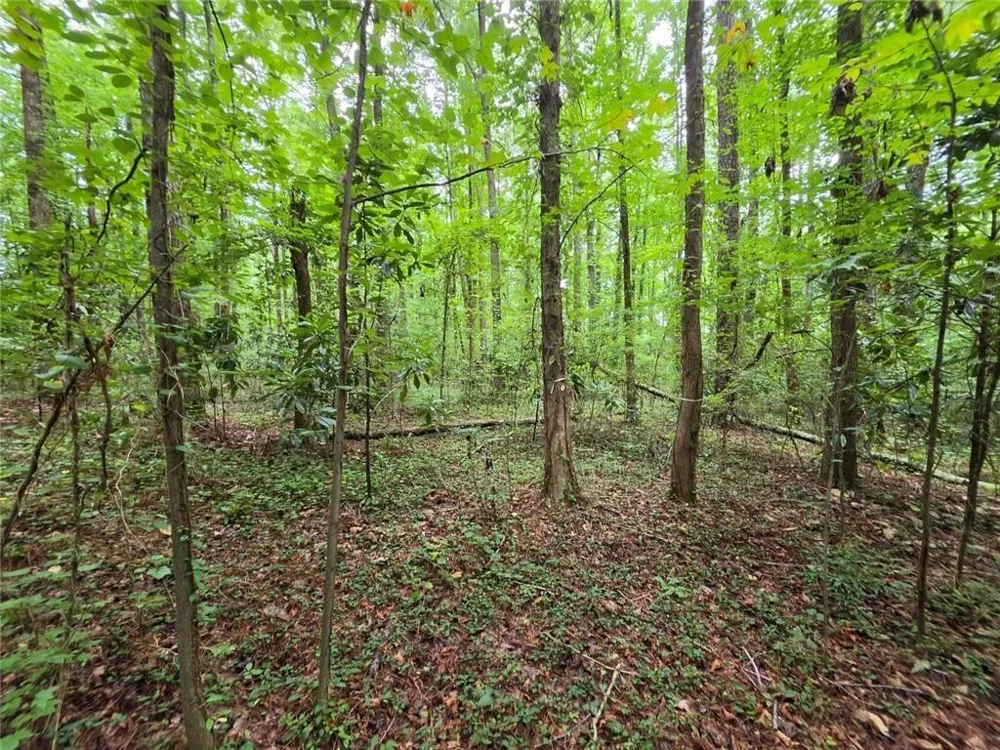 0 Brookwood Drive Mableton, GA 30126