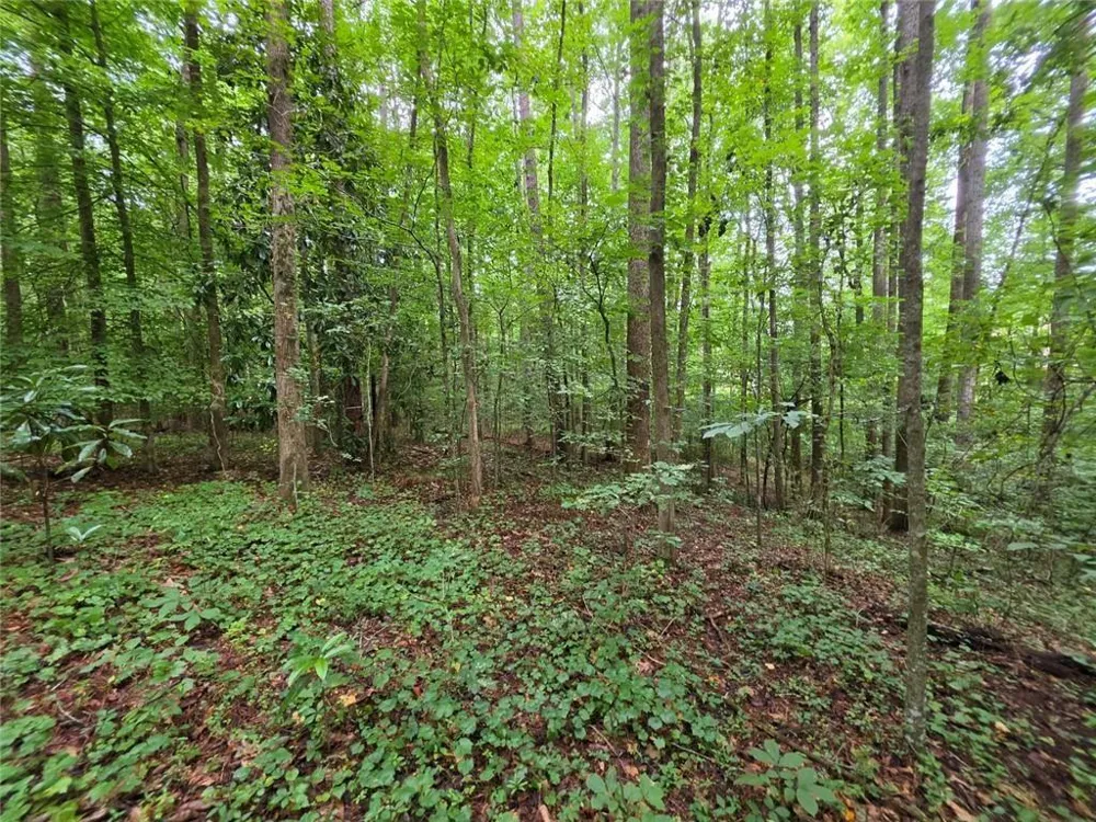 0 Brookwood Drive Mableton, GA 30126