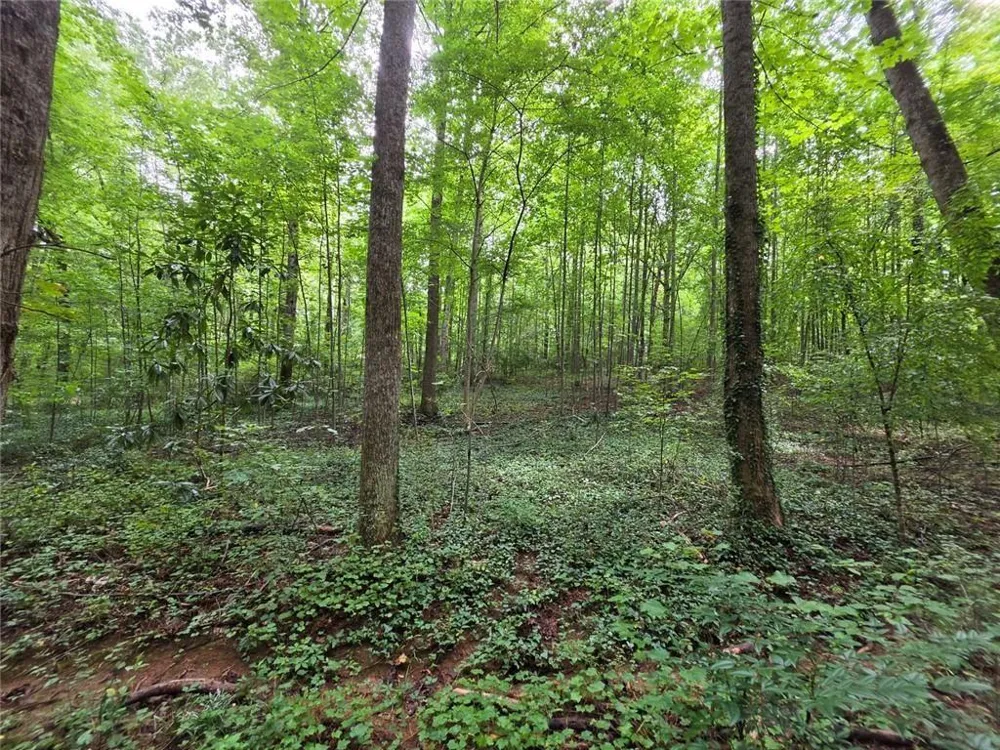 0 Brookwood Drive Mableton, GA 30126