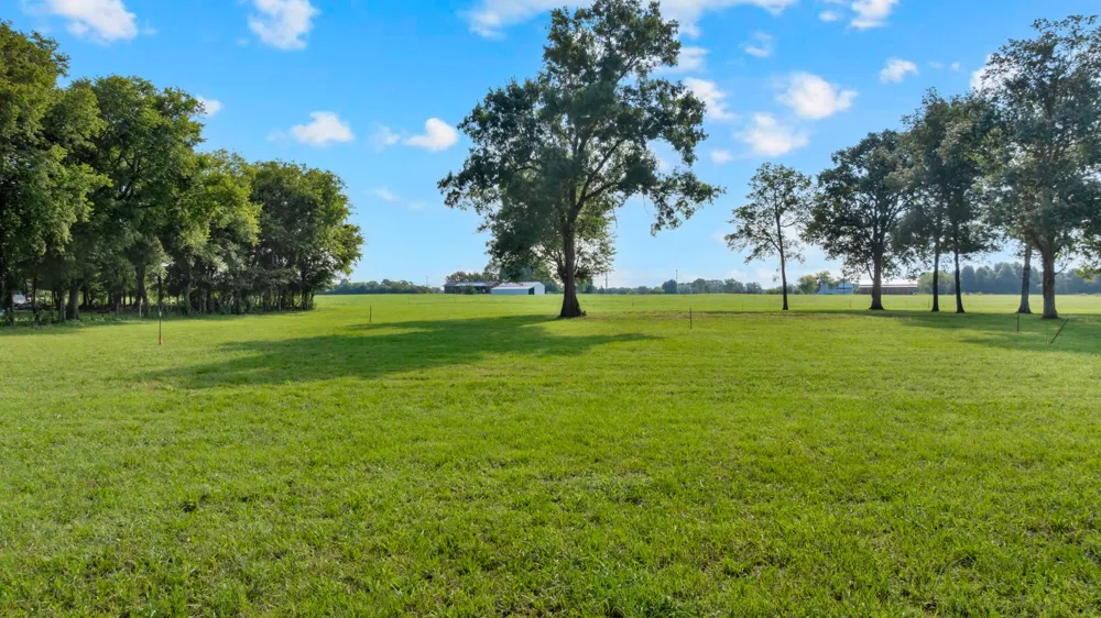0 Maxwell Chapel road Unionville, TN 37180