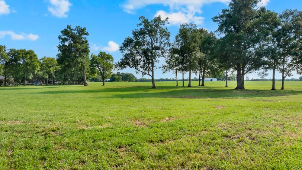 0 Maxwell Chapel road Unionville, TN 37180
