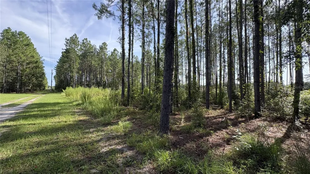TBD NW 130TH AVENUE High Springs, FL 32643