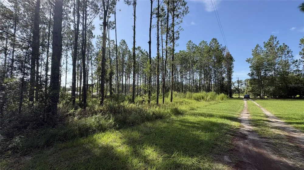 TBD NW 130TH AVENUE High Springs, FL 32643