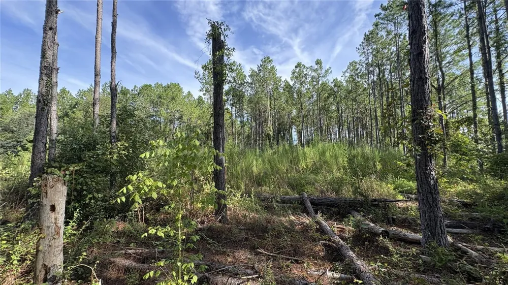 TBD NW 130TH AVENUE High Springs, FL 32643
