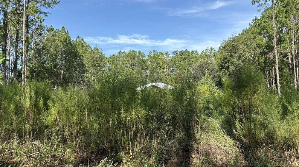 TBD NW 130TH AVENUE High Springs, FL 32643
