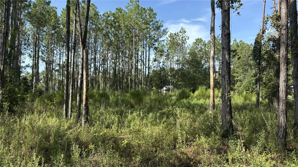 TBD NW 130TH AVENUE High Springs, FL 32643