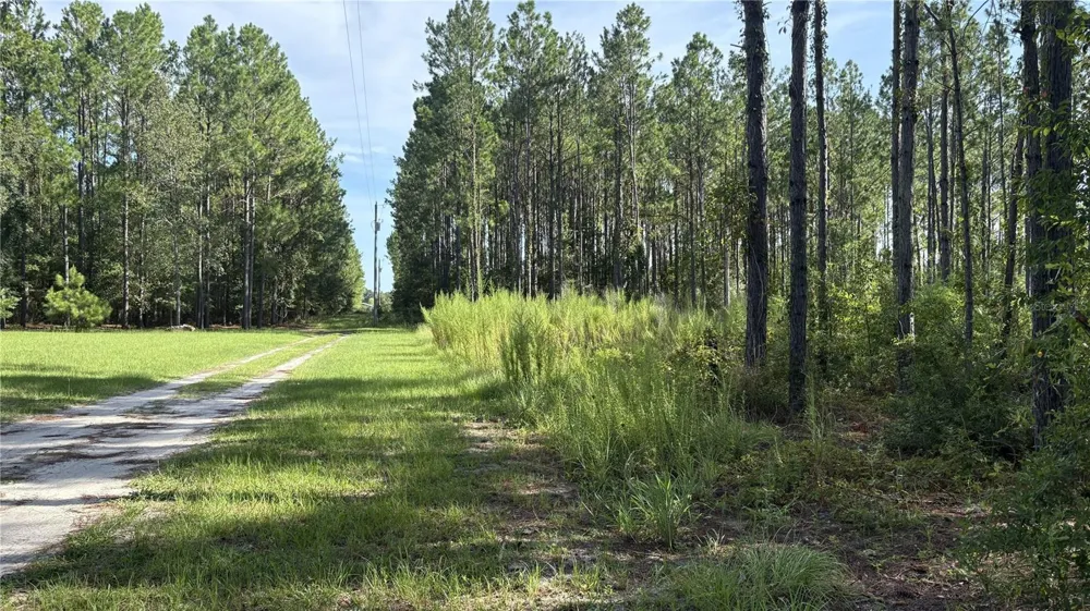 TBD NW 130TH AVENUE High Springs, FL 32643