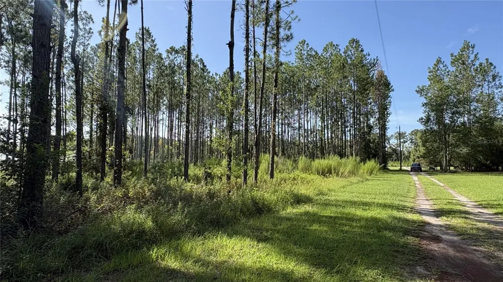 TBD NW 130TH AVENUE High Springs, FL 32643
