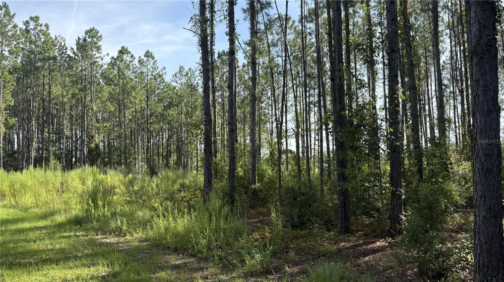 TBD NW 130TH AVENUE High Springs, FL 32643