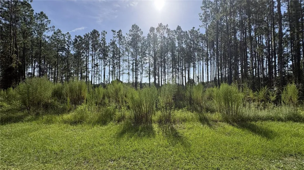 TBD NW 130TH AVENUE High Springs, FL 32643