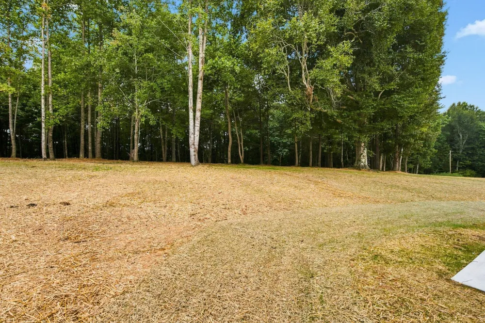 2869 Ferrells Branch Rd Beechgrove, TN 37018