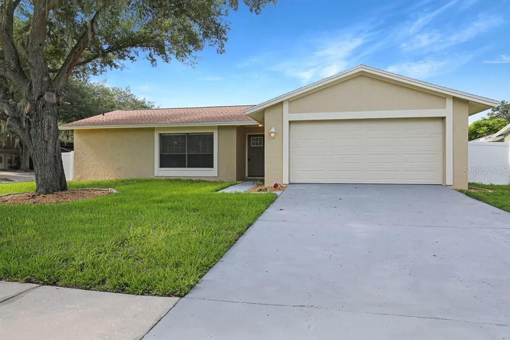 423 VAN REED MANOR DRIVE Brandon, FL 33511