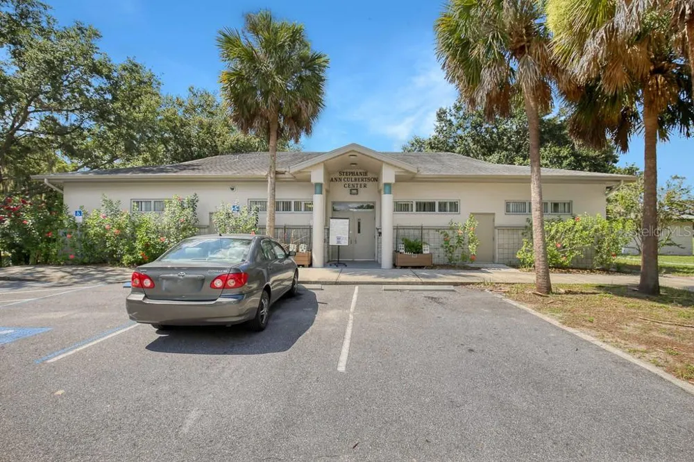 423 VAN REED MANOR DRIVE Brandon, FL 33511