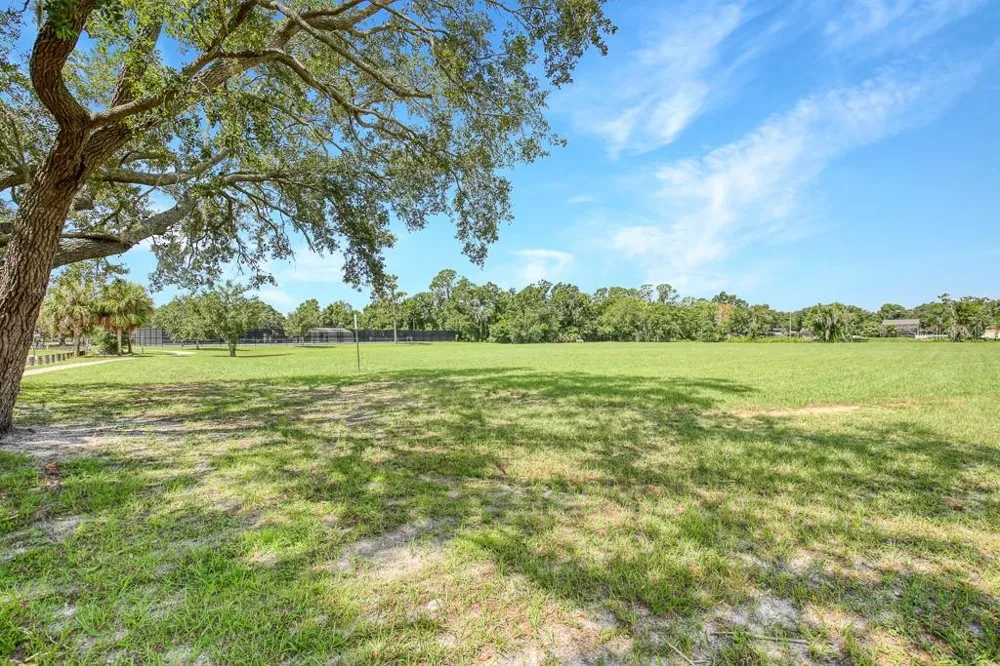 423 VAN REED MANOR DRIVE Brandon, FL 33511