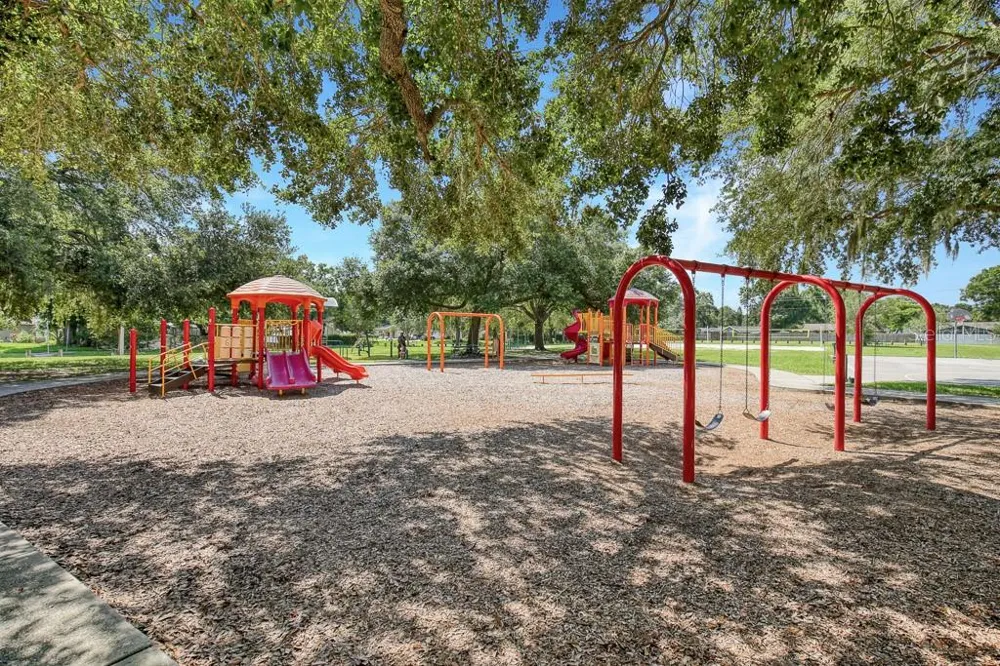 423 VAN REED MANOR DRIVE Brandon, FL 33511