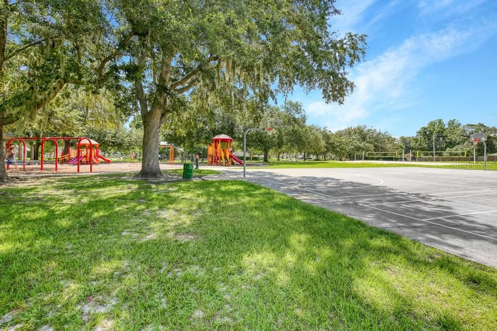 423 VAN REED MANOR DRIVE Brandon, FL 33511