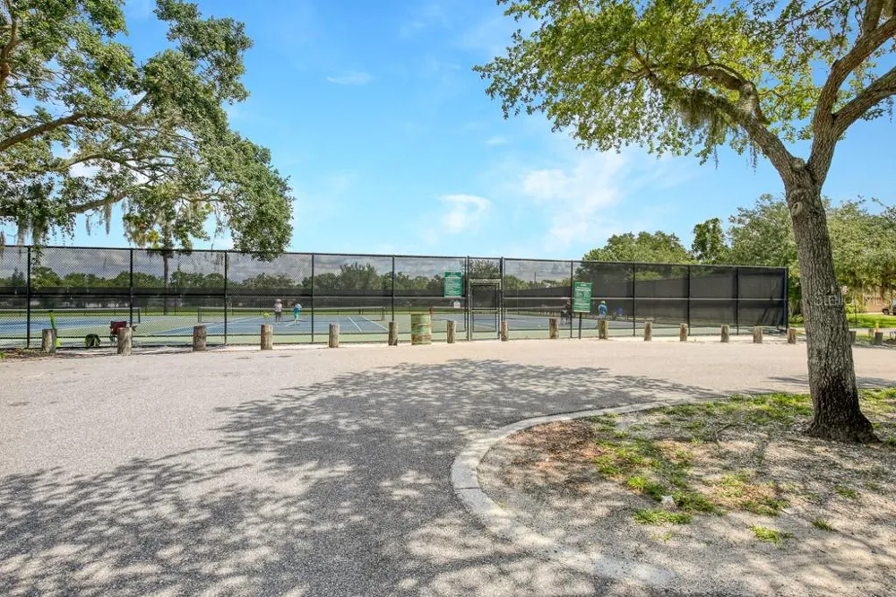 423 VAN REED MANOR DRIVE Brandon, FL 33511