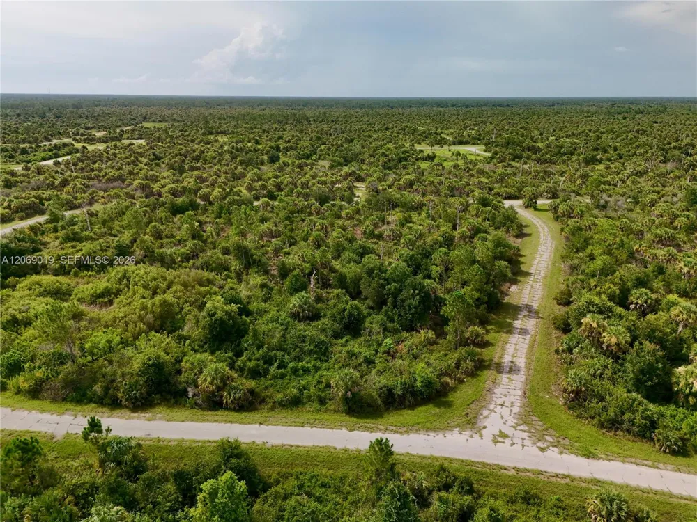 Damo St North Port, FL 34288