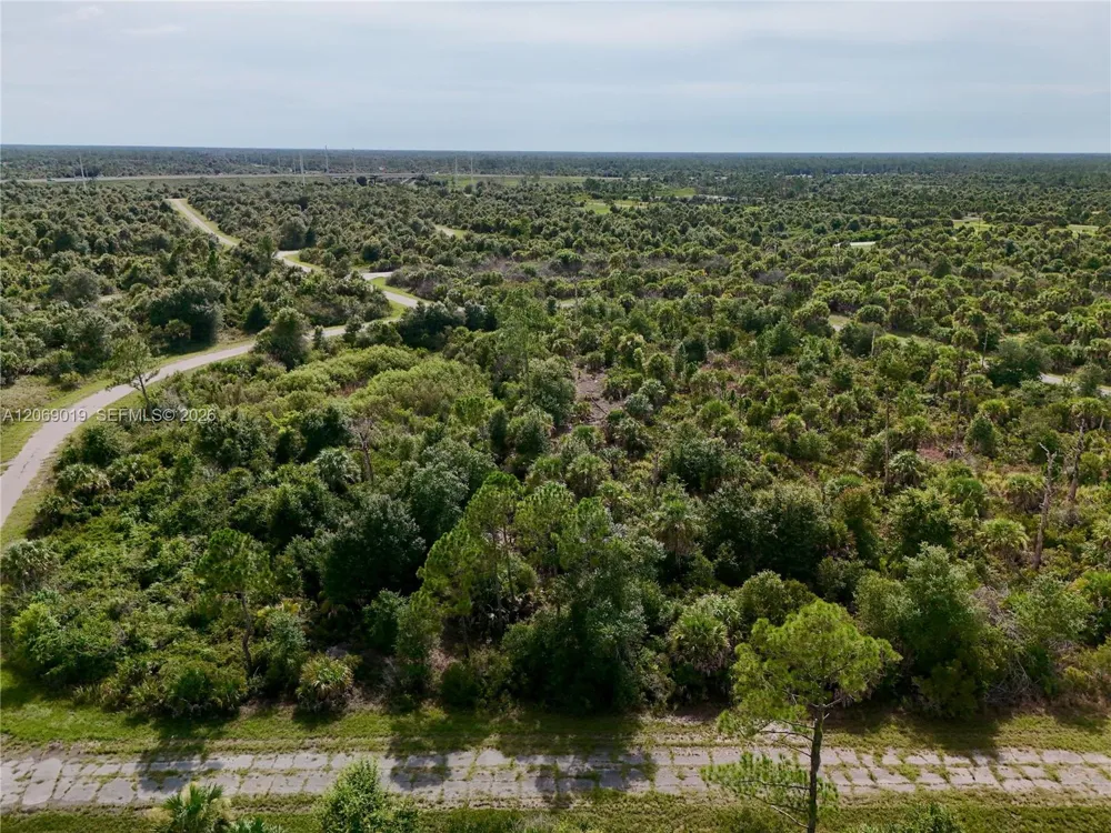 Damo St North Port, FL 34288