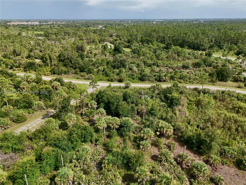 Damo St North Port, FL 34288